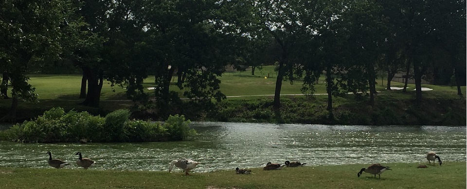 Hole 12 Squaw Creek Golf Course, Willow Park, Texas